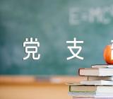 党支部简介及特色说明党团相关精选3篇