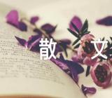 爱情的优美散文精选6篇