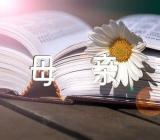 祝福母亲节的句子71条【汇编三篇】