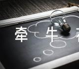 小鸟和牵牛花说课稿中班(合集三篇)