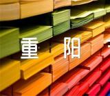 小学重阳节有什么活动方案精选四篇