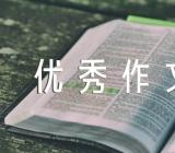 回忆小学时光优秀作文精选三篇