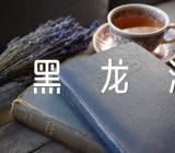 2023黑龙江高考一分一段表锦集四篇