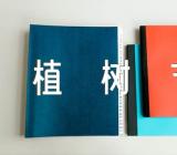 各国植树节是几月几日(通用3篇)