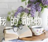 《我的动物朋友》小学作文400字精选五篇