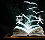 抒情作文胜似亲人精选七篇