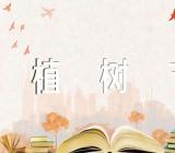 我国的植树节的传统习俗精选四篇