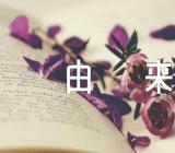 世界卫生日的由来(合集三篇)