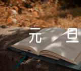 元旦晚会日记100字元旦晚会日记400字(合集三篇)