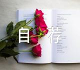 2023年人力资源专业自荐信优质锦集三篇