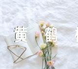 湖北黄鹤楼导游词作文400字(合集5篇)