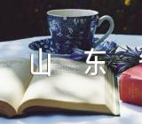 2023年山东高考成绩查询入口网站山东省教育招生考试院(合集3篇)