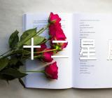 十二星座射手座性格脾气(合集五篇)