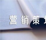 元旦营销策划书范文七篇