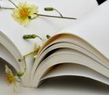 2023年数学老师教学反思周记