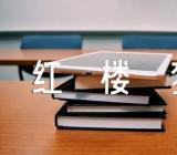 读红楼梦读书笔记500字七篇