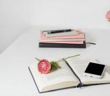 最新2023年广西高考历史试题及答案