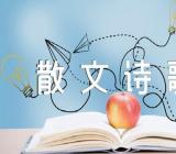 著名的现代散文诗歌短篇五篇