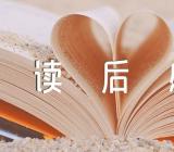 红楼梦读后感600字(合集7篇)