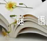 马的谜语范文(通用3篇)