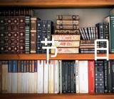 开学过后欢度重阳的节日作文范文汇总九篇