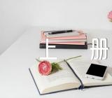 一年级数学说课稿上册实用(锦集3篇)