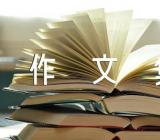 学生中考满分作文集范文(精选6篇)