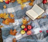 2023年安徽高考分数线已公布精选