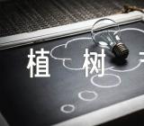 植树节活动心得感受范文(通用6篇)