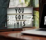 摩羯狮子座的配对指数范文(精选3篇)