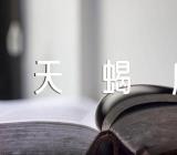 处女和天蝎座配对指数