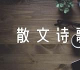 散文诗歌素材写作