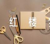 红楼梦六百字读书心得感悟六篇