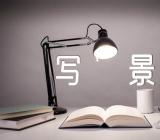 秋风又起的季节写景作文精选三篇