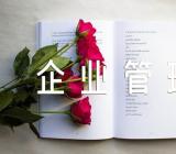 企业管理提升心得感悟600字精选五篇