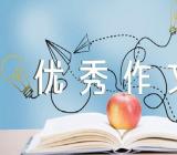 我的母亲800字高中优秀作文【汇编四篇】