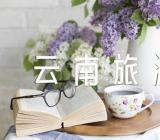 云南旅游心得作文集合4篇