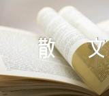 高考满分作文散文集合5篇