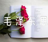 毛泽东思想小结【汇编五篇】