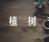 幼儿园开展植树节活动总结范文(精选三篇)