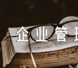 企业管理年度规划集合3篇