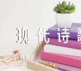 迎接春节现代诗歌范文汇总三篇