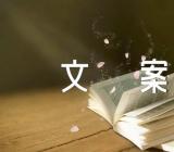 红楼梦里惊艳你的文案45句(合集2篇)