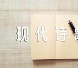 元旦新年现代诗歌范文三篇
