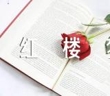 红楼梦经典的好词好句41句【汇编二篇】