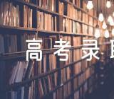 2023河北高考录取结果怎样查询范文汇总三篇