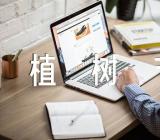 关于植树节环保我先行国旗下讲话【三篇】