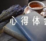 元宵节的心得体会怎么写【5篇】