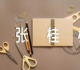 张桂梅作文素材(通用4篇)