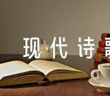 冬至的现代诗歌